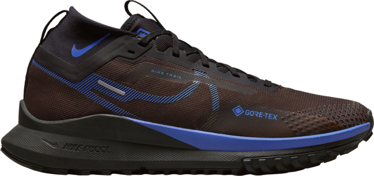 shoes Nike Pegasus Trail 4 GORE-TEX
