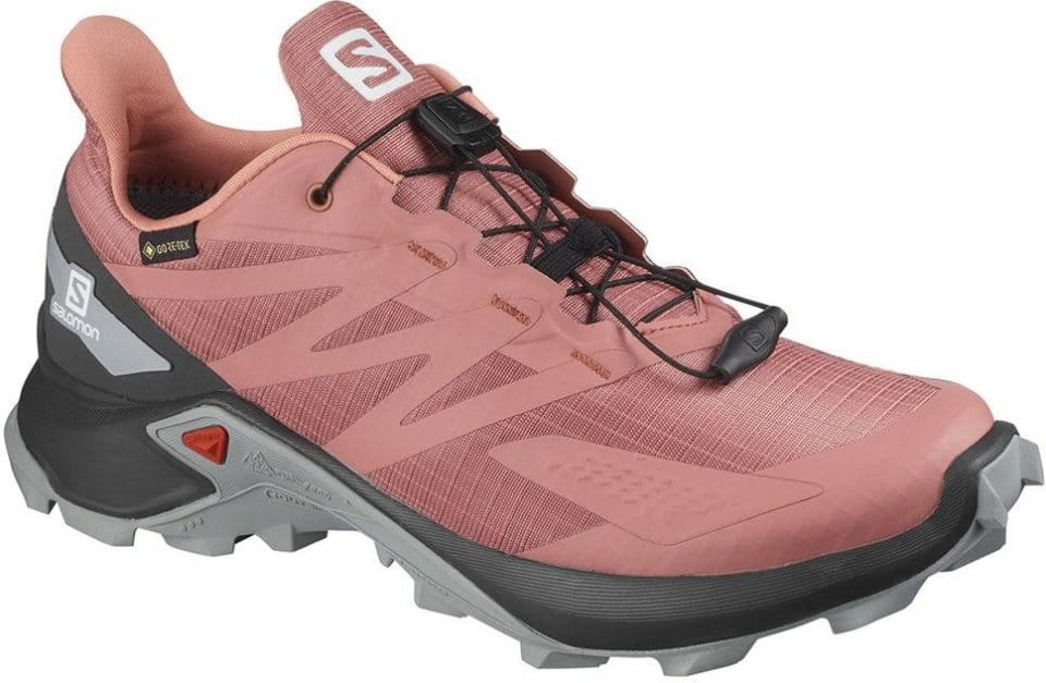 Trail shoes Salomon SUPERCROSS BLAST GTX W - Top4Running.ie
