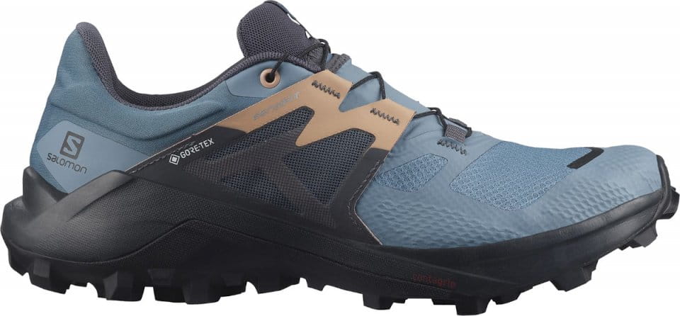 Trail shoes Salomon WILDCROSS 2 W GTX