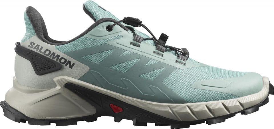 Trail shoes Salomon SUPERCROSS 4 W